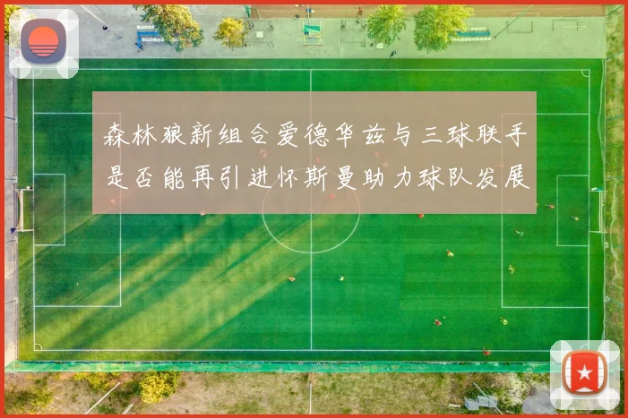 森林狼新组合爱德华兹与三球联手是否能再引进怀斯曼助力球队发展