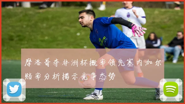 摩洛哥夺非洲杯概率领先塞内加尔赔率分析揭示竞争态势